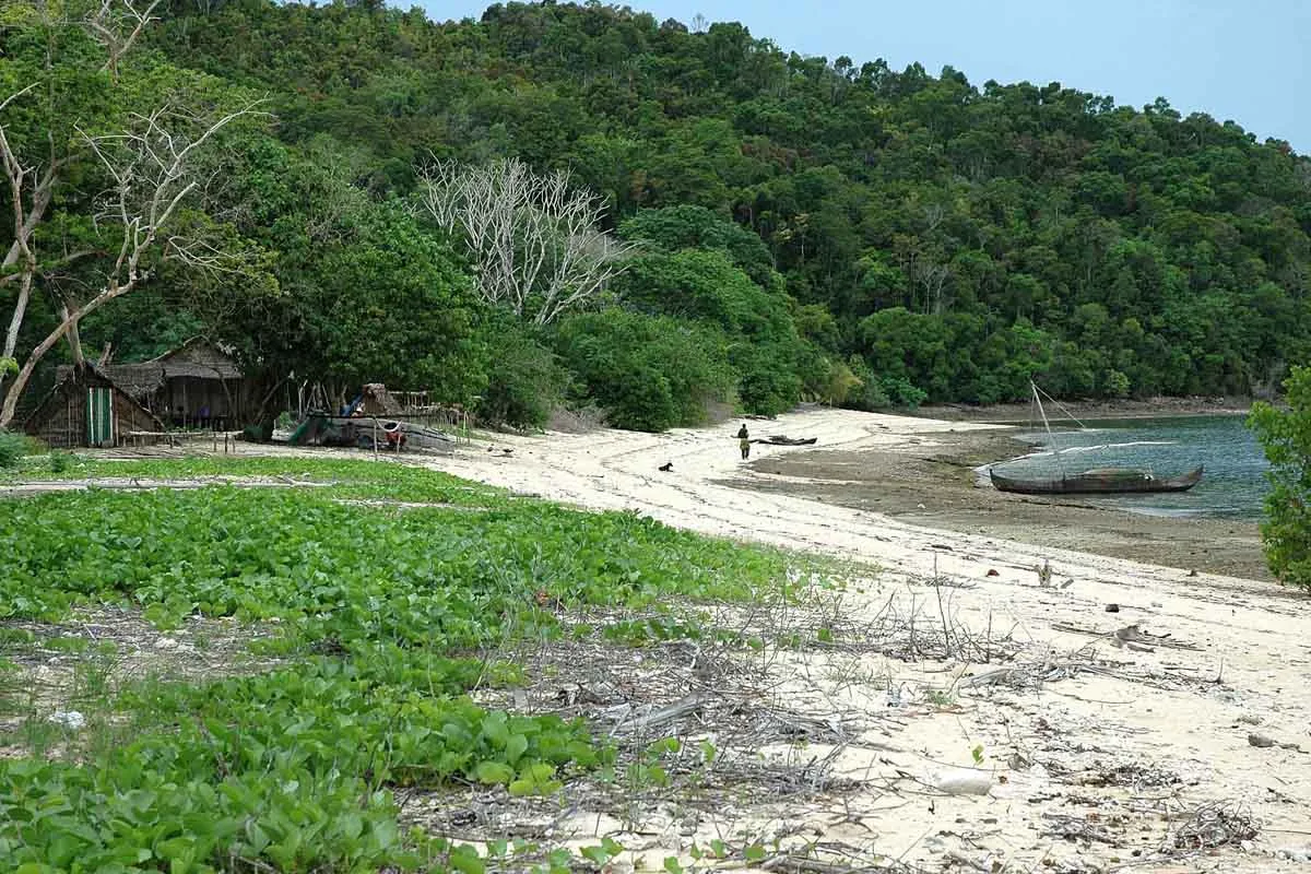 Baie des russes_baleines randeau_excursions