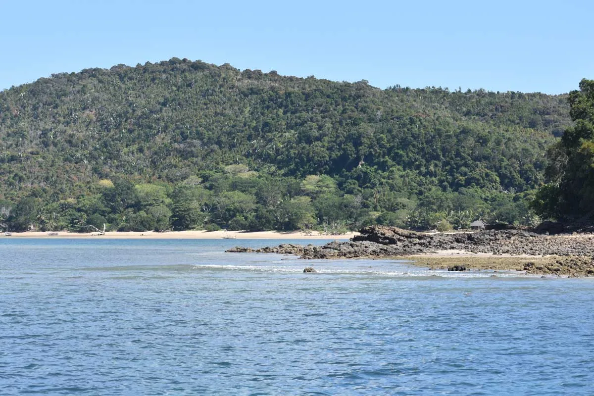 Baie des russes_baleines randeau_excursions
