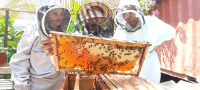 IMG_20241129_101337