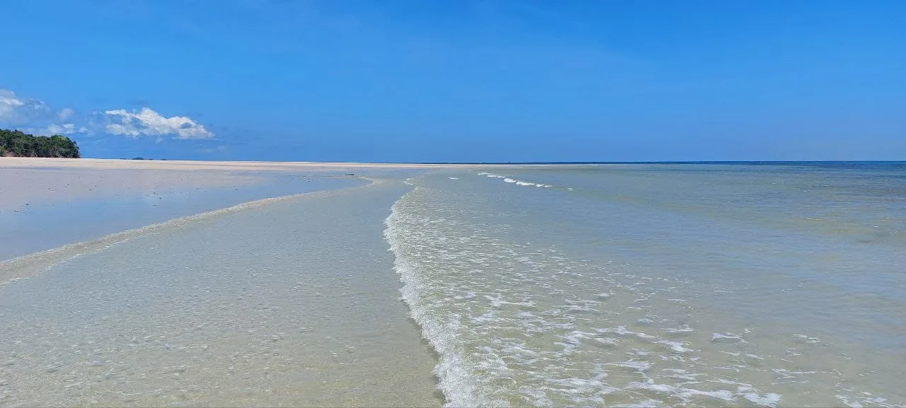 Ampoany Ampoany Randeau palmée cote malagasy